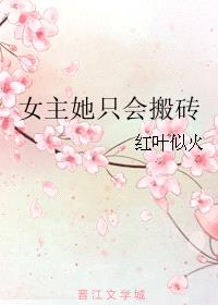 女主她只会搬砖